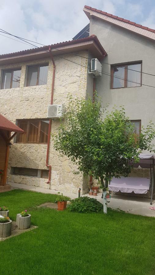 ホテル Casa Andrei テキルギオル エクステリア 写真